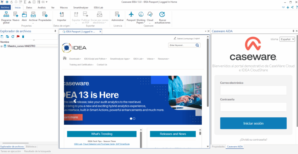 Actualización 13.0 de IDEA en español para análisis eficiente